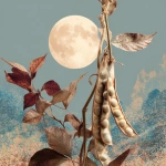 **A bean plant growing in a moonlit garden. There are dried pods on the plant. One is split open and is empty. There is a full moon rising over head. This is for the cover of a seed packet --v 7.0** - Image #2 <@1240392312559898636>