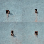 **<https://s.mj.run/ydE3Wc5bF6A> ultra-realistic, HD, minimalist mid shot photo of a soft light blue stone wall, there's a small rectangular hole on the wall and an Indian monkey sitting on it. subtle film grain, fine texture detail. captured with a Fujifilm 50mm lens. --ar 4:5 --v 7.0** - Variations (Strong) by <@753364602561101955> (fast)
-# Create, explore, and organize on [midjourney.com](<https://midjourney.com/imagine?from_discord=1>)