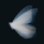 **18h 3D render, Forside-style fine-art surrealism inspired by Neo-Plasticism. A butterfly reimagined through pure geometric balance its wings unfold like translucent architectural planes of light and shadow. The left wing radiates luminous white and deep black in vertical order, while the right wing holds quiet horizontal bands of spectral color (red, blue, yellow). The organic veins dissolve into crystalline lines of perfect proportion, transforming natural symmetry into abstract discipline. No background, only a black void filled with silent luminosity, where motion is replaced by equilibrium. The butterfly becomes a floating cathedral of geometry a hymn of stillness, balance, and divine order within the sublime. --ar 3:4 --raw --profile 57e8bjg --stylize 360 --v 7.0** - Upscaled by <@1233018167018917952> (fast)