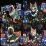 **a cute kitten wearing a Christmas tree outfit surrounded by sparkling glittery presents with prophetic iris wrapping paper tumblr aesthetic --ar 3:2 --sref 1793609594** - <@937851746712186921> (relaxed)