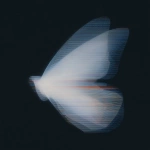 **18h 3D render, Forside-style fine-art surrealism inspired by Neo-Plasticism. A butterfly reimagined through pure geometric balance its wings unfold like translucent architectural planes of light and shadow. The left wing radiates luminous white and deep black in vertical order, while the right wing holds quiet horizontal bands of spectral color (red, blue, yellow). The organic veins dissolve into crystalline lines of perfect proportion, transforming natural symmetry into abstract discipline. No background, only a black void filled with silent luminosity, where motion is replaced by equilibrium. The butterfly becomes a floating cathedral of geometry a hymn of stillness, balance, and divine order within the sublime. --ar 3:4 --raw --profile 57e8bjg --stylize 360** - Image #2 <@1233018167018917952>