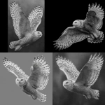 **Greyscale, realism, high contrast, defined fur pattern, snow owl in flight full body and wings** - <@1116424656908464158> (fast)
-# Create, explore, and organize on [midjourney.com](<https://midjourney.com/imagine?from_discord=1>)