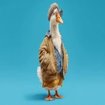 **goose human style work on web site creation, image carton style --ar 16:9** - Image #4 <@352111620748607509>