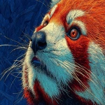 **anime, hand-drawn and cel animation techniques, red panda who is a natural leader, natural design, beautifully rendered and expressive rich colors, vibrant pastel colors, imaginative and fantastical landscapes, sharp attention to detail, realism and a strong sense of nostalgia and warmth, sharp attention to small details and textures, fantastical creatures, settings, depth and emotions emphasized and accentuated by lighting and shading, extremely high quality, incredibly high finite definition, high resolution, hand-drawn and cel animation techniques, anime --ar 3:2 --stylize 1000 --q 2** - Image #2 <@471203792004579339>