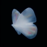 **18h 3D render, Forside-style fine-art surrealism inspired by Neo-Plasticism. A butterfly reimagined through pure geometric balance its wings unfold like translucent architectural planes of light and shadow. The left wing radiates luminous white and deep black in vertical order, while the right wing holds quiet horizontal bands of spectral color (red, blue, yellow). The organic veins dissolve into crystalline lines of perfect proportion, transforming natural symmetry into abstract discipline. No background, only a black void filled with silent luminosity, where motion is replaced by equilibrium. The butterfly becomes a floating cathedral of geometry a hymn of stillness, balance, and divine order within the sublime. --ar 3:4 --raw --profile 57e8bjg --stylize 360 --v 7.0** - Upscaled by <@1233018167018917952> (fast)