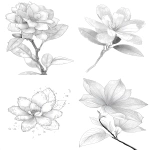 **jasmine flower with layered petals rimmed in ice crystals for coloring book with crisp line and white background --ar 17:22** - <@1117434682276057091> (relaxed)