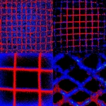 **bottomless grief, black neon grid --p kiz9g8f** - <@375830511882338304> (fast)
-# Create, explore, and organize on [midjourney.com](<https://midjourney.com/imagine?from_discord=1>)