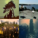 **<https://s.mj.run/N5gdG6WOZsY> <https://s.mj.run/-kAMV9BZoaI> <https://s.mj.run/I64qEBwOJns> An eerie movie scene featuring the discovery of a mystery in the ocean of Fiskebäckskil, Bohuslän. scientific equipment, camera crew, sunken boats, wires, cables, batteries, viking runes, hällristningar, bog people, stone-age memorabilia, ruins, dolmens, seaweed, kayaks, life vests, dead fish, wetsuits, lighting equipment, sound recording, microphones, tripods, scaffolding, movie props, soundstage, costumes, animatronics, plastics, rubber, ferns, moss, evergreens, pine trees. Realistic photography. --chaos 96 --ar 3:2 --raw --iw 2 --p 9kuhrxg** - <@948180533639282688> (relaxed)