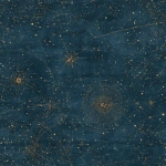 **Seamless repeating pattern of a vintage celestial star chart printed on aged indigo parchment, faint golden constellation lines connecting small stars, a subtle compass rose watermark, worn paper surface with fine grain, deep midnight blue (#1a1b3a) background with muted amber-gold (#c9a050) linework, low-contrast astronomical map aesthetic --tile --v 7.0 --raw** - Image #1 <@1064709057056882730>