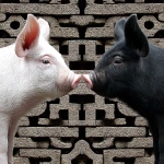 **Why don't we squeal at each other ? this is what is sounds like when pigs 😭 --sref 4240880785 2348464004 --s 250 --v 7.0** - Image #2 <@974789918188535848>