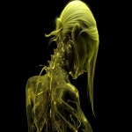 **surreal body horror inspired 3D render of a girl with neon yellow hair, elongated limbs and twisted joints, translucent spine and ribcage visible outside the body, biomechanical implants fused with skin, glowing ferrofluid flowing in abstract patterns beneath semi-transparent flesh, skeletal and mechanical forms blending together, grotesque yet elegant posture, uncanny proportions, eerie cinematic lighting, high detail, biomechanical surrealism, H.R. Giger inspired aesthetic --v 7.0 --ar 16:9 --q 2 --raw** - Image #2 <@1308314147829841984>