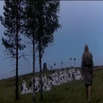 **<https://s.mj.run/jBF-3OvXjpI> <https://s.mj.run/6TBgezyNmL8> <https://s.mj.run/5RzicLNMaCI> An eerie movie scene featuring the discovery of a mystery in the ocean of Fiskebäckskil, Bohuslän. scientific equipment, camera crew, sunken boats, wires, cables, batteries, viking runes, hällristningar, bog people, stone-age memorabilia, ruins, dolmens, seaweed, kayaks, life vests, dead fish, wetsuits, lighting equipment, sound recording, microphones, tripods, scaffolding, movie props, soundstage, costumes, animatronics, plastics, rubber, ferns, moss, evergreens, pine trees. Realistic photography. --chaos 96 --ar 3:2 --raw --iw 2 --p 9kuhrxg --sref <https://s.mj.run/jBF-3OvXjpI>** - Image #4 <@948180533639282688>