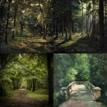 **forest park --v 6.0 --s 50** - <@993529706081169428> (fast)
-# Create, explore, and organize on [midjourney.com](<https://midjourney.com/imagine?from_discord=1>)