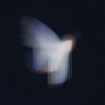 **18h 3D render, Forside-style fine-art surrealism inspired by Neo-Plasticism. A butterfly reimagined through pure geometric balance its wings unfold like translucent architectural planes of light and shadow. The left wing radiates luminous white and deep black in vertical order, while the right wing holds quiet horizontal bands of spectral color (red, blue, yellow). The organic veins dissolve into crystalline lines of perfect proportion, transforming natural symmetry into abstract discipline. No background, only a black void filled with silent luminosity, where motion is replaced by equilibrium. The butterfly becomes a floating cathedral of geometry a hymn of stillness, balance, and divine order within the sublime. --ar 3:4 --raw --profile 57e8bjg --stylize 360 --v 7.0** - Upscaled by <@1233018167018917952> (fast)