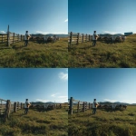 **back view of a man singing and playing acoustic guitar at a natural countryside dairy farm in Daegwallyeong, cows gathered in front of him watching, a low wooden fence separating the man and the cows, the man positioned on the left side of the frame, standing on a vivid green grass field, surrounded by open blue sky and gentle hills, wearing casual modern Korean clothing, warm afternoon sunlight, realistic style, peaceful rural atmosphere, shot on iPhone video, wide-angle lens perspective, sharp focus across entire scene, no blur, no depth of field effect, low bitrate look, slight codec compression noise, cinematic composition, smartphone quality not DSLR** - Zoom Out by <@594852042581999617> (fast)