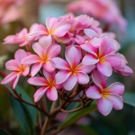 **beautiful cluster of plumerias, close up, pink --v 7.0** - Image #2 <@1007112656773189665>
