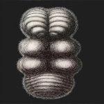 **<https://s.mj.run/0vEE-IjNXLY> <https://s.mj.run/r9uEQ9SlQJI> <https://s.mj.run/zlXZLUIU1G0> <https://s.mj.run/n94SCMWZKR8> <https://s.mj.run/mqMnzMZ9DoE> --ar 2:3 --s 250** - Image #2 <@1056809326351757333>