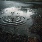 **A cinematic, ultra-realistic close-up of raindrops falling into a shallow puddle on a rough concrete road. Multiple concentric ripples spread across the water surface, overlapping naturally. The ground texture is wet, gritty, and uneven, with subtle reflections of the cloudy sky visible in the puddle. Soft diffused natural light, overcast monsoon atmosphere, muted grey and earthy tones. High detail water physics, realistic ripple patterns, shallow depth of field, photorealistic textures, calm yet moody pre-monsoon feel, 4K ultra-realistic quality. --v 7.0** - Upscaled by <@1310497705784643657> (fast)