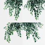 **green leaves branch cluster , white background** - Variations (Strong) by <@813303729926570016> (fast)