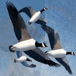 **barnacle goose in flight by Charley Harper --ar 5:4** - Image #4 <@1015631618645438535>