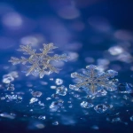 **Two scientists are arguing about snowflake macrophotography --v 7.0 --ar 4:7** - Image #4 <@639231094968942592>
