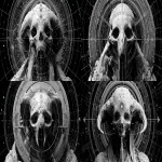 **cybermonochronolithcore --ar 16:9** - Variations (Strong) by <@391048027051261958> (relaxed)