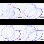 **<https://s.mj.run/65xM75JOlIg> <https://s.mj.run/4Qd28WZXZBc>** - Variations (Subtle) by <@896573801658196018> (fast)