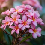 **beautiful cluster of plumerias, close up, pink --v 7.0** - Upscaled by <@1007112656773189665> (relaxed)