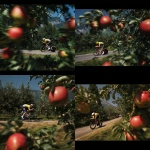 **<https://s.mj.run/G00h1y7jbpE> sports photography, magnum style, cyclist yellow jersey speeding past apple bush, trees, sunny day colourful, tour de france, modern day, Fujiflim XT3, analogue grain, dynamic composition, negative space** - <@1227538137383829565> (fast)