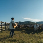 **back view of a man singing and playing acoustic guitar at a natural countryside dairy farm in Daegwallyeong, cows gathered in front of him watching, a low wooden fence separating the man and the cows, the man positioned on the left side of the frame, standing on a vivid green grass field, surrounded by open blue sky and gentle hills, wearing casual modern Korean clothing, warm afternoon sunlight, realistic style, peaceful rural atmosphere, shot on iPhone video, wide-angle lens perspective, sharp focus across entire scene, no blur, no depth of field effect, low bitrate look, slight codec compression noise, cinematic composition, smartphone quality not DSLR** - Image #4 <@594852042581999617>