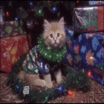 **a cute kitten wearing a Christmas tree outfit surrounded by sparkling glittery presents with prophetic iris wrapping paper tumblr aesthetic --ar 3:2 --sref 1793609594 --v 7.0** - Upscaled by <@937851746712186921> (relaxed)
-# Create, explore, and organize on [midjourney.com](<https://midjourney.com/imagine?from_discord=1>)