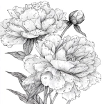 **pionies flower with layered petals rimmed in ice crystals for coloring book with crisp line and white background --ar 17:22 --v 7.0** - Image #1 <@1117434682276057091>