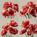 **HD photo realistic poppy flowers, plain background** - Variations (Strong) by <@1153004013885866004> (fast)