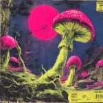 **early 1970s horror B-movie poster style UK bassline cover art, acid rave theme, dripping random objects with tongues out and sweat, chaotic mushrooms, exaggerated lighting, VHS grain, neon green and pink palette, hand-painted airbrush textures, campy sci-fi horror vibe, glowing outlines, dramatic composition, inspired by Phatworld, Mozey, Interplanetary Criminal, --ar 1:1 --v 7.0 --s 850 --q 2 --raw** - Image #1 <@289277077293760513>