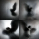 **archangel without sword falling in sky black and white photography --v 7.0** - <@819073620625981460> (39%) (fast)
-# Create, explore, and organize on [midjourney.com](<https://midjourney.com/imagine?from_discord=1>)