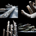**broken pine tree trunks, heavily covered in fresh snow, solid pure black background, realistic** - <@468248390342279168> (fast)