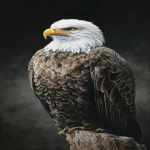 **ein Weißkopfseeadler, der als Symbol von Freiheit und Stärke steh. Ultrrealistisch. --v 7.0 --ar 9:16 --raw** - Image #4 <@672875703666081795>