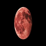 **Red moon, full moon, glowing against a black background. Photography in high definition. --ar 16:9 --v 7.0** - Image #3 <@888546328244801596>