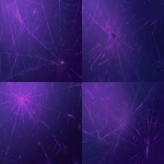 **minimal flat illustration, faint glowing purple spiderweb barely visible in the blackness, shadowy black spider crawling in the corner, eerie and mysterious vibe, mostly black with slight purple glow, clean minimal composition, loop animation friendly --niji 6 --ar 16:9** - Variations (Strong) by <@257221362568003584> (relaxed)