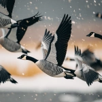 **barnacle goose in flight by Charley Harper --ar 5:4** - Image #3 <@1015631618645438535>