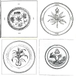 **The Island Where Spices Grow, symbol, simple --sref <https://s.mj.run/UWWYSWAIPEg>** - <@1022758621601345568> (fast)
-# Create, explore, and organize on [midjourney.com](<https://midjourney.com/imagine?from_discord=1>)