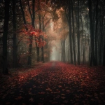 **forest park --v 6.0 --s 50** - Image #3 <@993529706081169428>