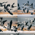 **barnacle goose in flight by Charley Harper --ar 5:4** - Remix (Strong) by <@1015631618645438535> (fast)
