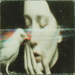 **a bird in the hand, abstract, minimalist charcoal asemic writing, datamoshing, glitch art daguerreotype, collodion rot with crepe border --sref 275192691 1958632036 1430290407 3311227420 --ar 16:9 --s 1000** - Image #3 <@1057110090387296366>