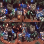 **a cute kitten wearing a Christmas tree outfit surrounded by sparkling glittery presents with prophetic iris wrapping paper tumblr aesthetic --ar 3:2 --sref 1793609594** - Variations (Strong) by <@937851746712186921> (relaxed)