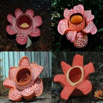 **rafflesia in bloom --chaos 10 --ar 4:3 --raw --profile ry4cakl fq37s4t --stylize 50 --v 7.0 --draft** - <@871364285517934602> (relaxed)
-# Create, explore, and organize on [midjourney.com](<https://midjourney.com/imagine?from_discord=1>)