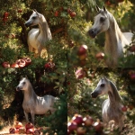 **an image of a grey Arabian mare standing amongst pomegranate trees in strong dappled sunlight. The mare is in the right side of the image and Her head intersects the upper right third of the image and she is looking back toward the bottom left corner but her body is facing the bottom right corner. Her head and body create the curve of a golden ratio. Some of the pomegranates in the foreground toward the bottom left of the image are open and the seeds are visible. ar 16:9 --v 7.0** - <@670754511698001963> (fast)