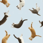 **cats being stretched into funny shapes --tile --p wcvpnz5 --v 7.0** - Image #3 <@1105701117851086919>