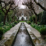 **Ambassadors garden london** - Image #2 <@1013385397600002048>