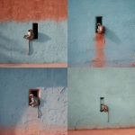 **<https://s.mj.run/ydE3Wc5bF6A> ultra-realistic, HD, minimalist mid shot photo of a soft light blue stone wall, there's a small rectangular hole on the wall and an Indian monkey sitting on it. subtle film grain, fine texture detail. captured with a Fujifilm 50mm lens. --ar 4:5 --v 7.0** - <@753364602561101955> (fast)